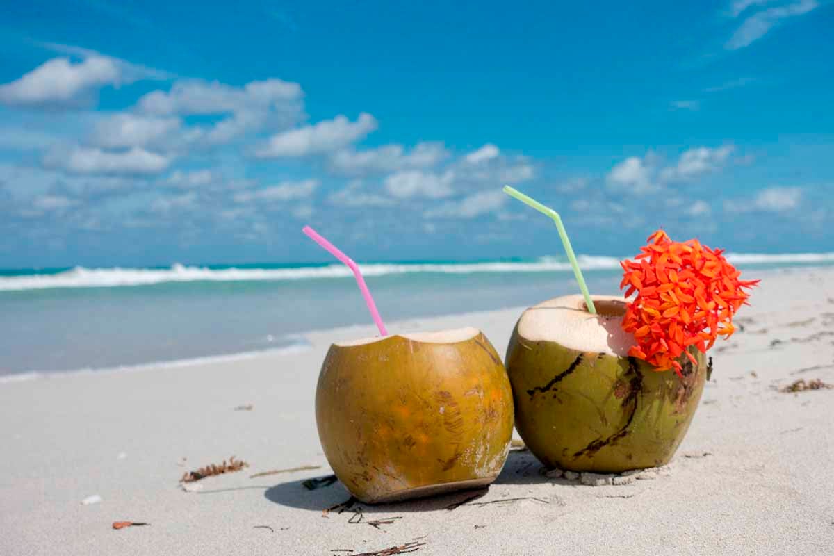 Coconut Water: Pros & Cons - Canstar Blue