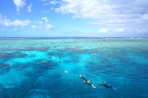 Tourists snorkeling in the Coral Sea on the Great Barrier Reef