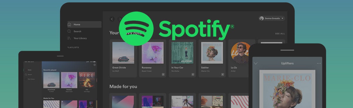 what is spotify duo
