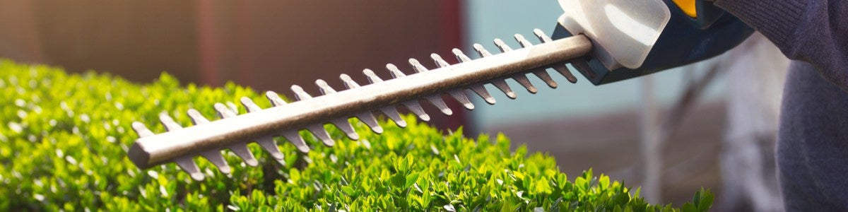 https://www.canstarblue.com.au/wp-content/uploads/2020/09/Hedge-Trimmers.jpg