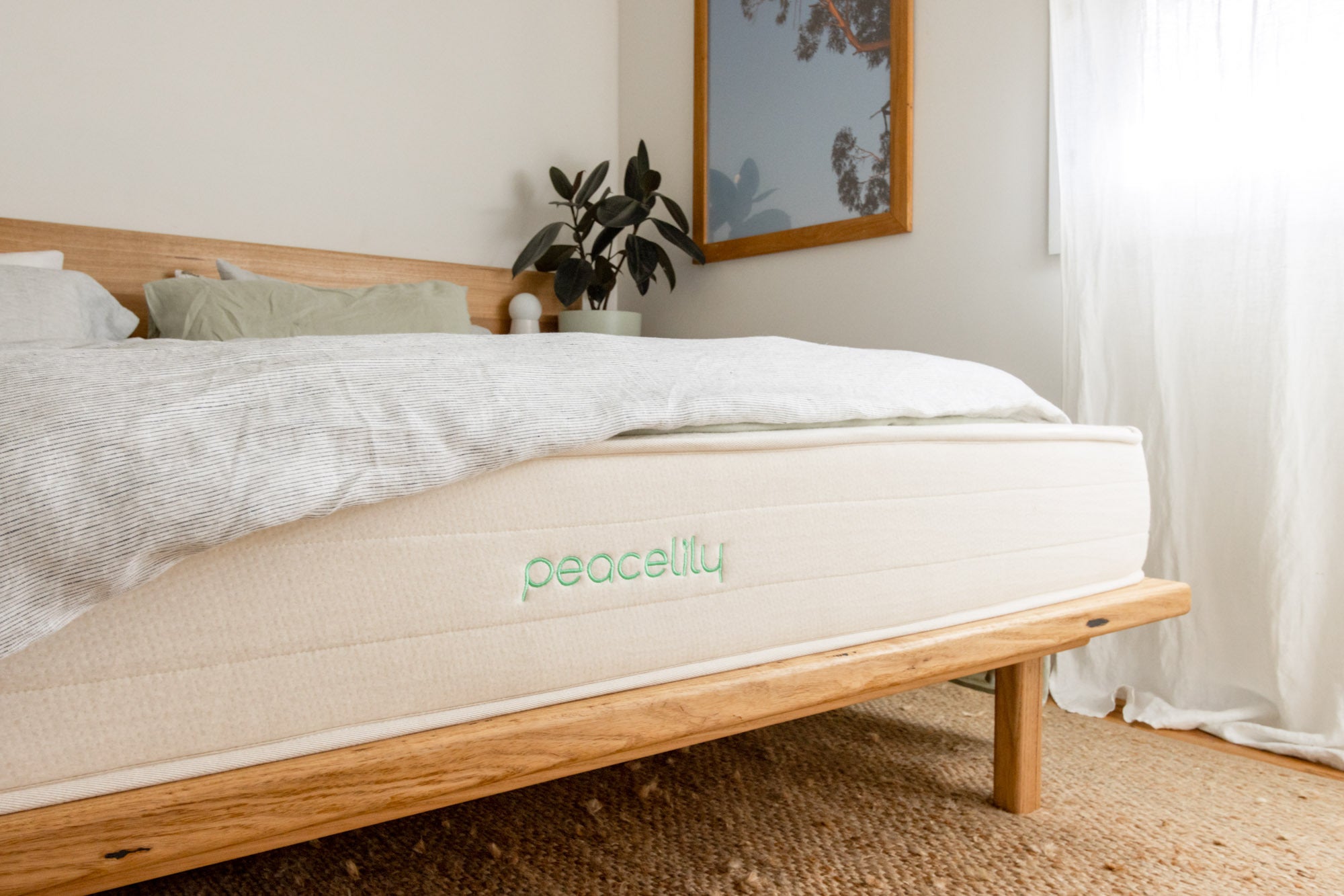 peacelily mattress review singapore