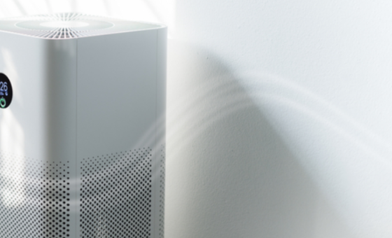 air purifier vs dehumidifier